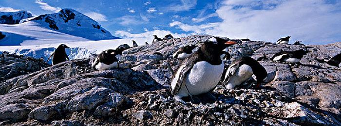 系列新作《桃太郎电铁世界》Switch预购开启 TGS新情报公开